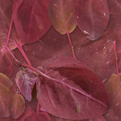 Similar image 22428047