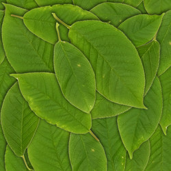 Similar image 22428053