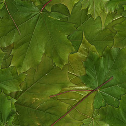 Similar image 22428085