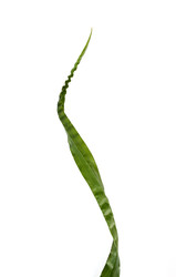 Similar image 22428090