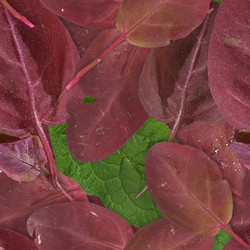 Similar image 22428097