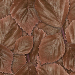 Similar image 22428101