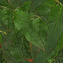 Similar image 22428111