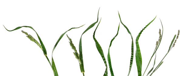 Similar image 22428118