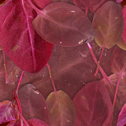 Similar image 22428155