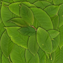 Similar image 22428172