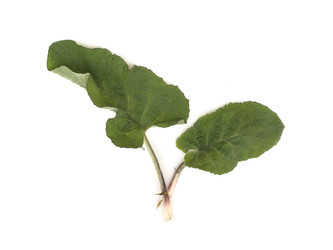 Similar image 22428177