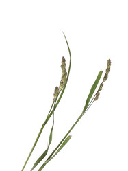 Similar image 22428178