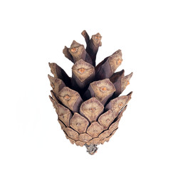 Similar image 22428186