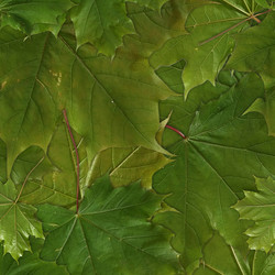 Similar image 22428187