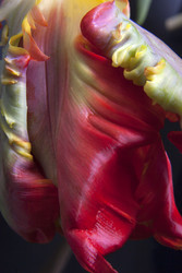 Similar image 22428189