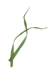 Similar image 22428206