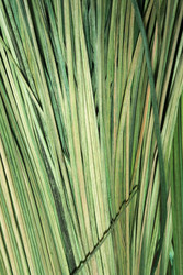 Similar image 22428217