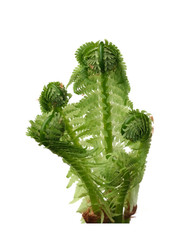 Similar image 22428218