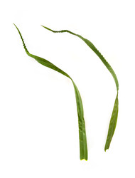 Similar image 22428223