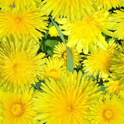 Similar image 22428247