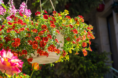 Similar image 22423587