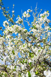 Similar image 22423591