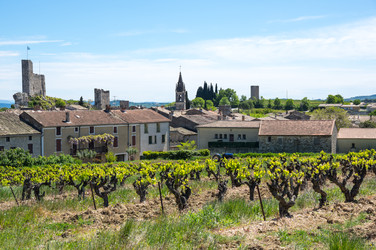 Similar image 22423594