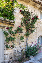 Similar image 22423596