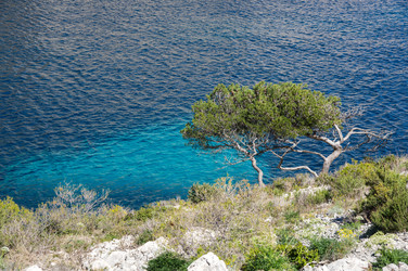 Similar image 22423597