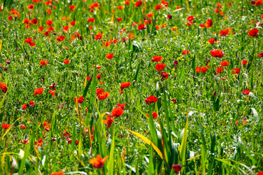 Similar image 22423598