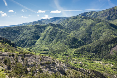 Similar image 22423600