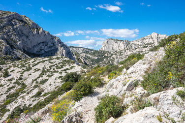 Similar image 22423601