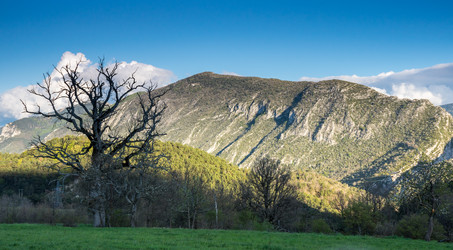 Similar image 22423602