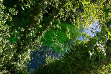 Similar image 22423613