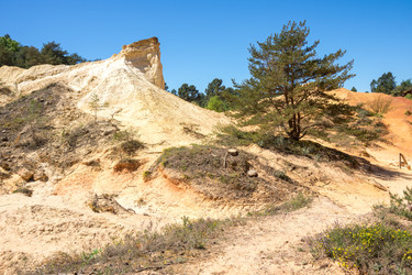 Similar image 22423616