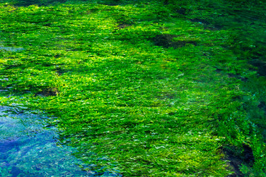 Similar image 22423622