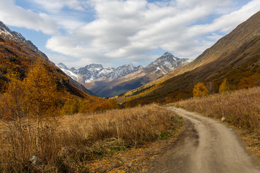 Similar image 22423629