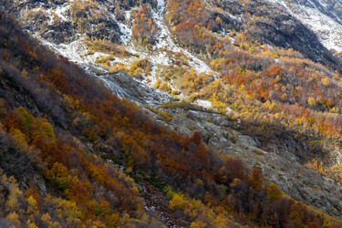 Similar image 22423630