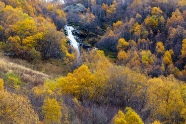 Similar image 22423631