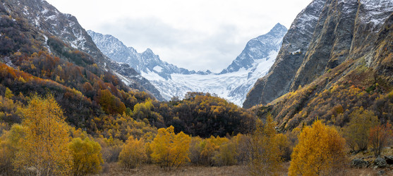 Similar image 22423632