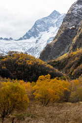 Similar image 22423633