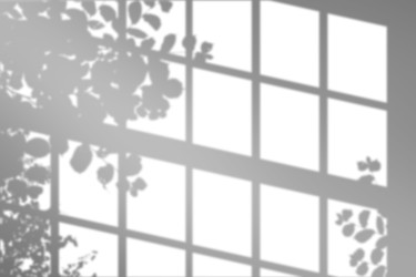 Similar image 22423807