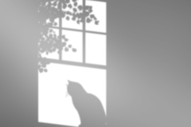 Similar image 22423809