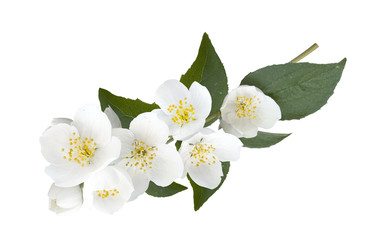 Similar image 22423810