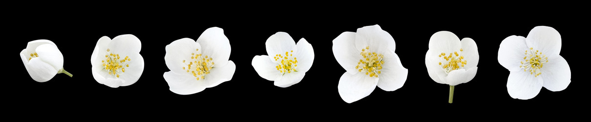 Similar image 22423825