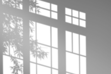 Similar image 22423832