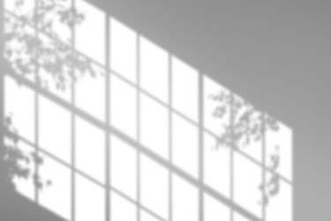 Similar image 22423835