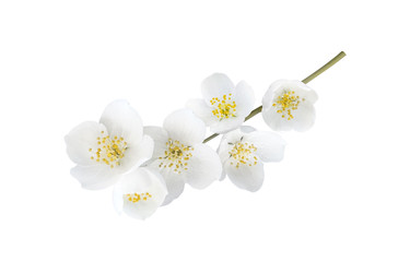 Similar image 22428565