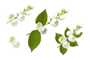 Similar image 22418893