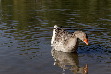 Similar image 22425471