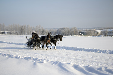 Similar image 22419057