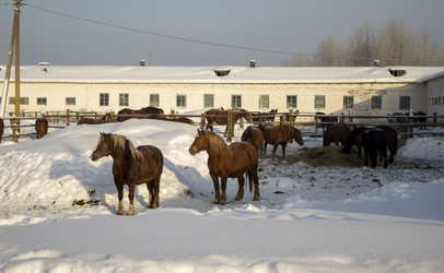 Similar image 22419058