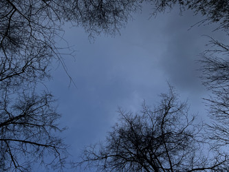 Similar image 22418834