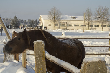 Similar image 22426785